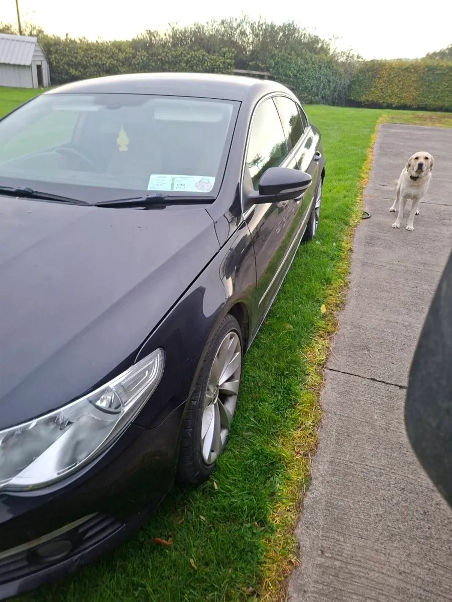 Passat cc - Image 4