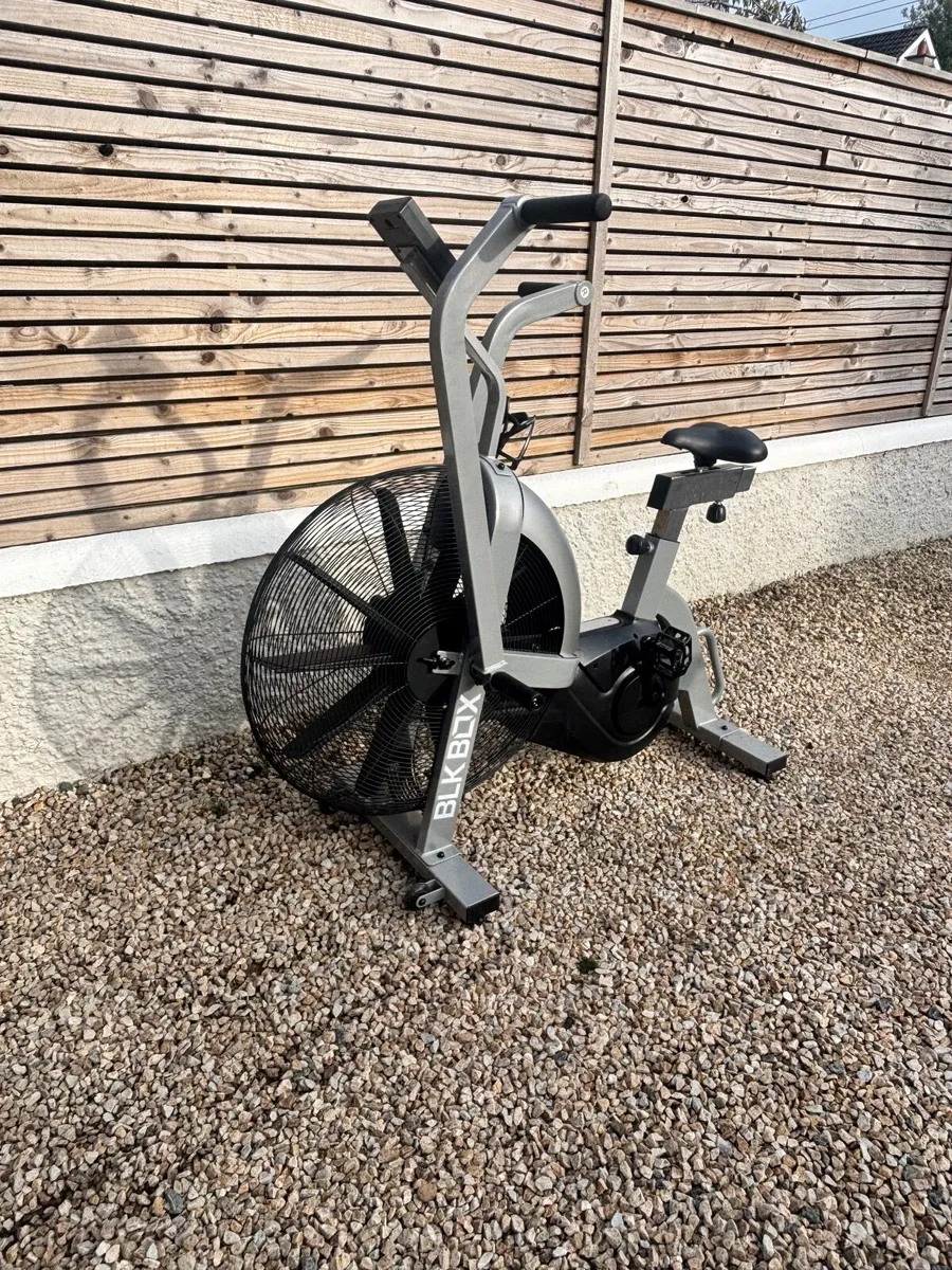 Assault Air Bike - Image 2