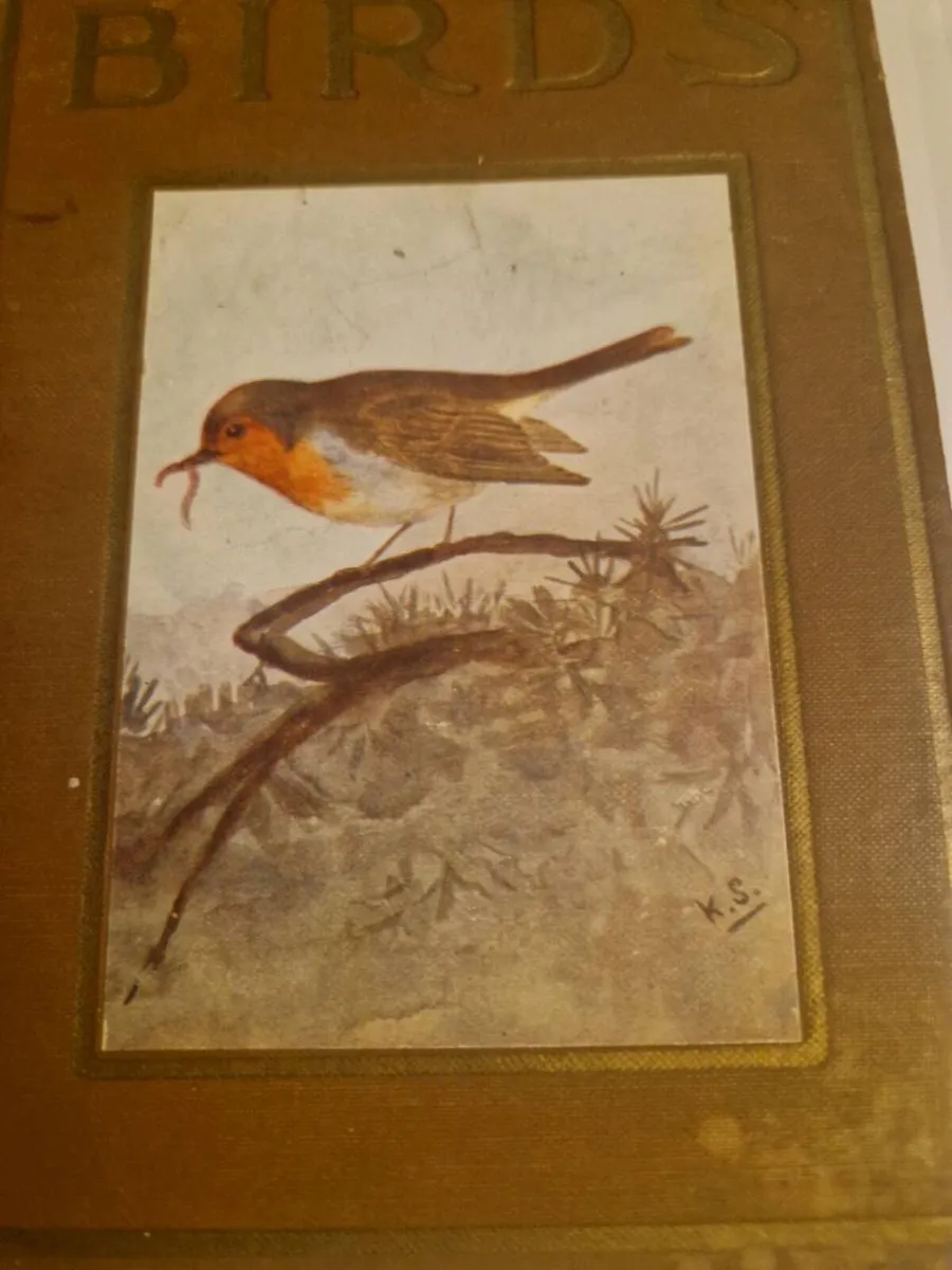 Bird books and pin okulars - Image 3