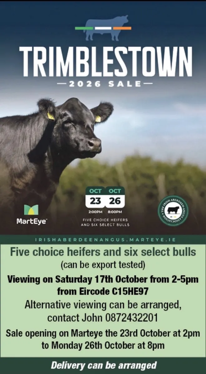 ⭐️  5 Choice Heifers and 6 Select Bulls ⭐️ - Image 2