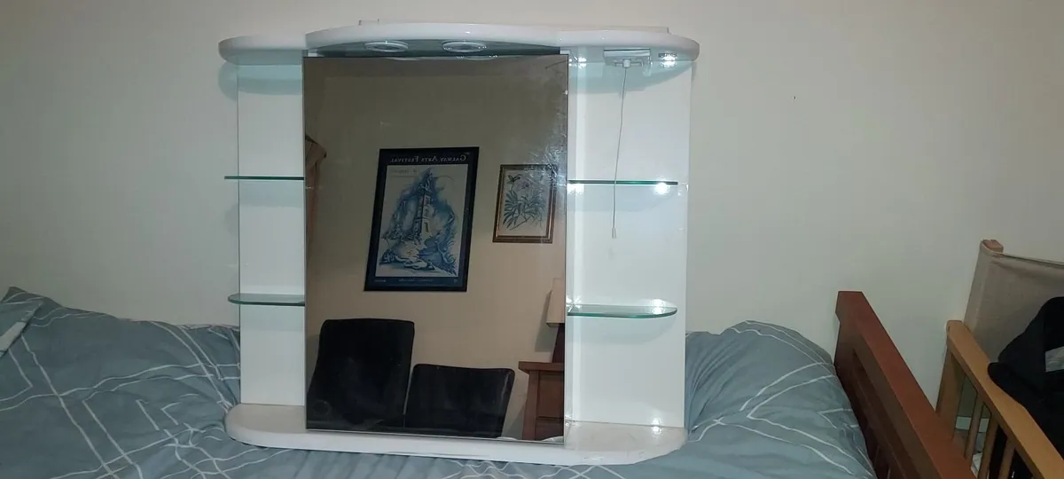 BATHROOM MIRROR CABINET - Image 1