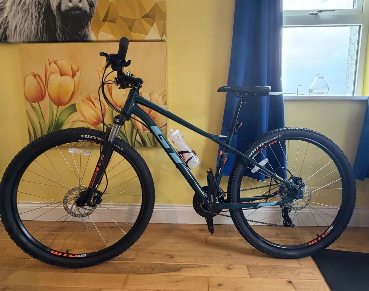 Bike - Image 1