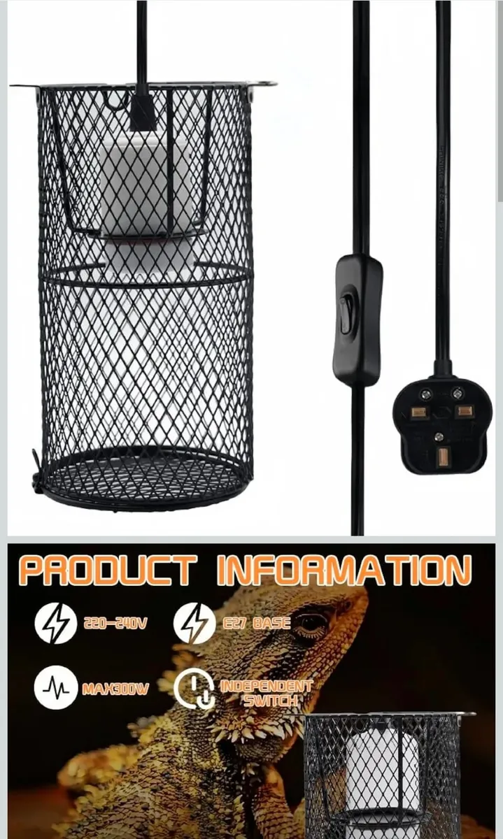 Black wood vivarium - Image 4