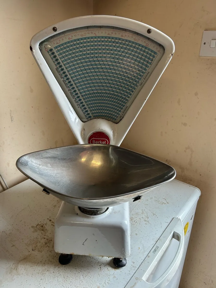 Antique Berkel Weighing Scales - Image 1