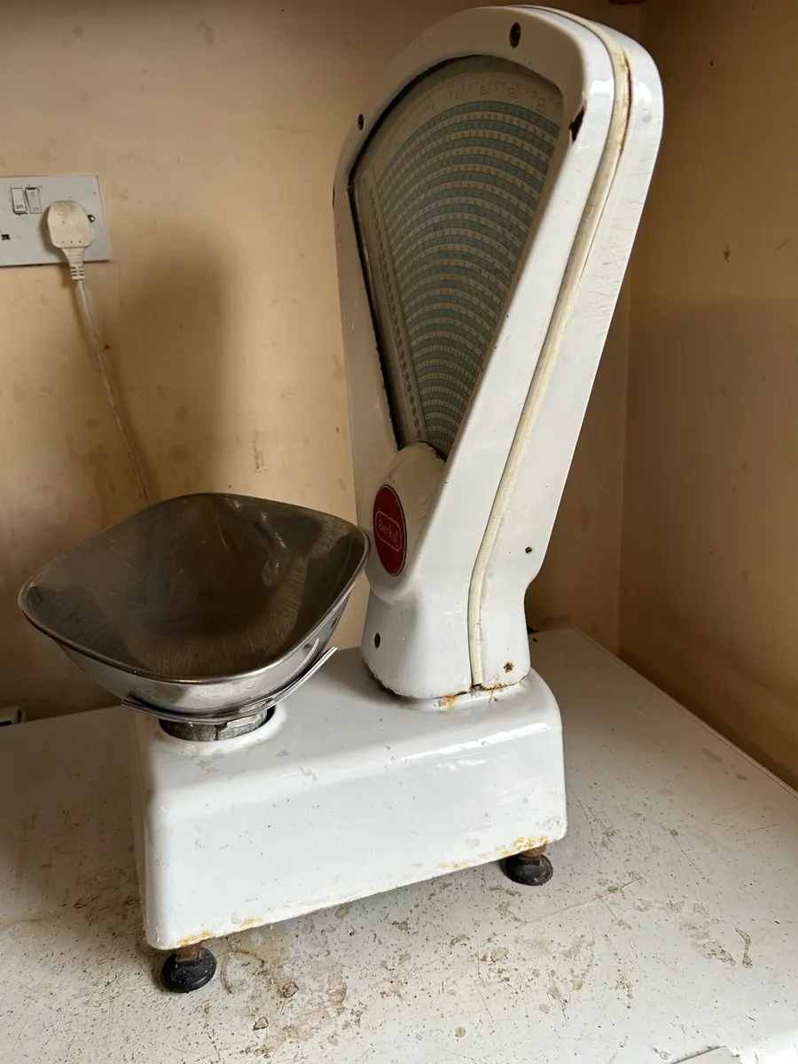 Antique Berkel Weighing Scales - Image 2