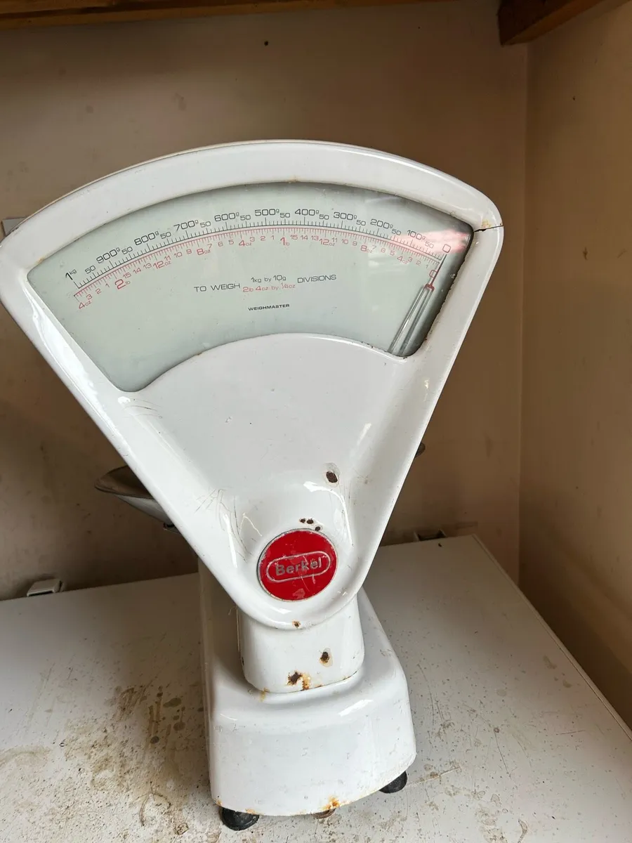 Antique Berkel Weighing Scales - Image 3