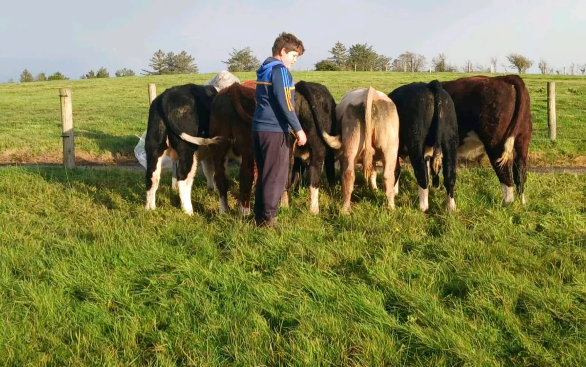 WEANLINGS - Image 1