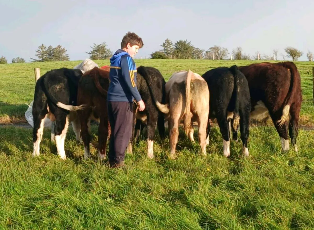 WEANLINGS - Image 4