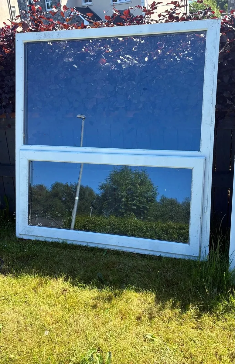 Window