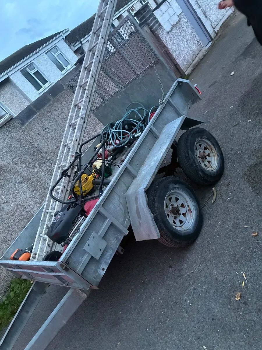 Trailer 4 wheel mint - Image 4