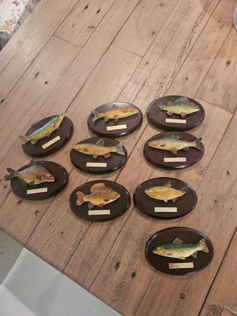 9 fisherman's tale plaques - Image 1