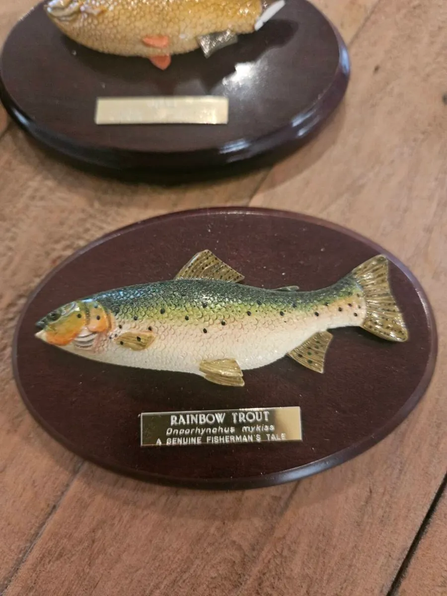 9 fisherman's tale plaques - Image 2