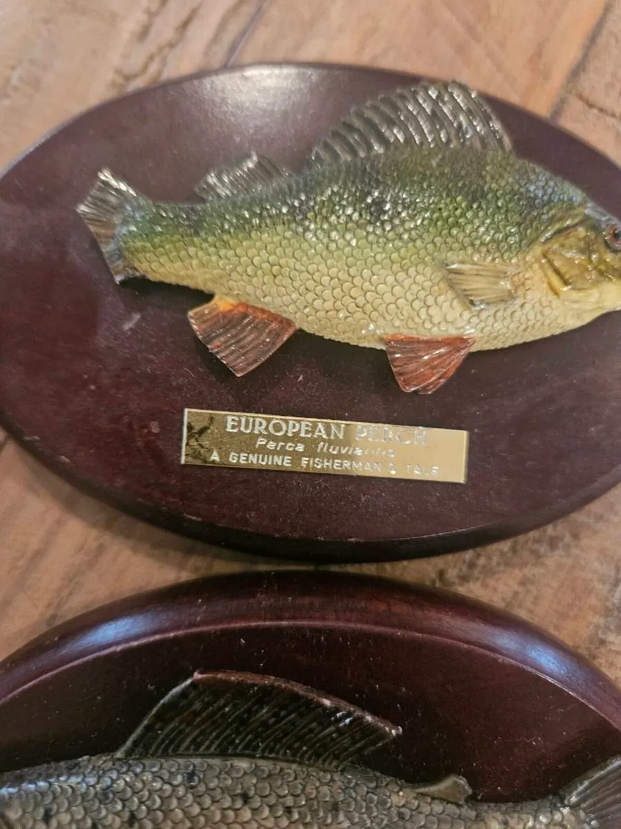 9 fisherman's tale plaques - Image 3