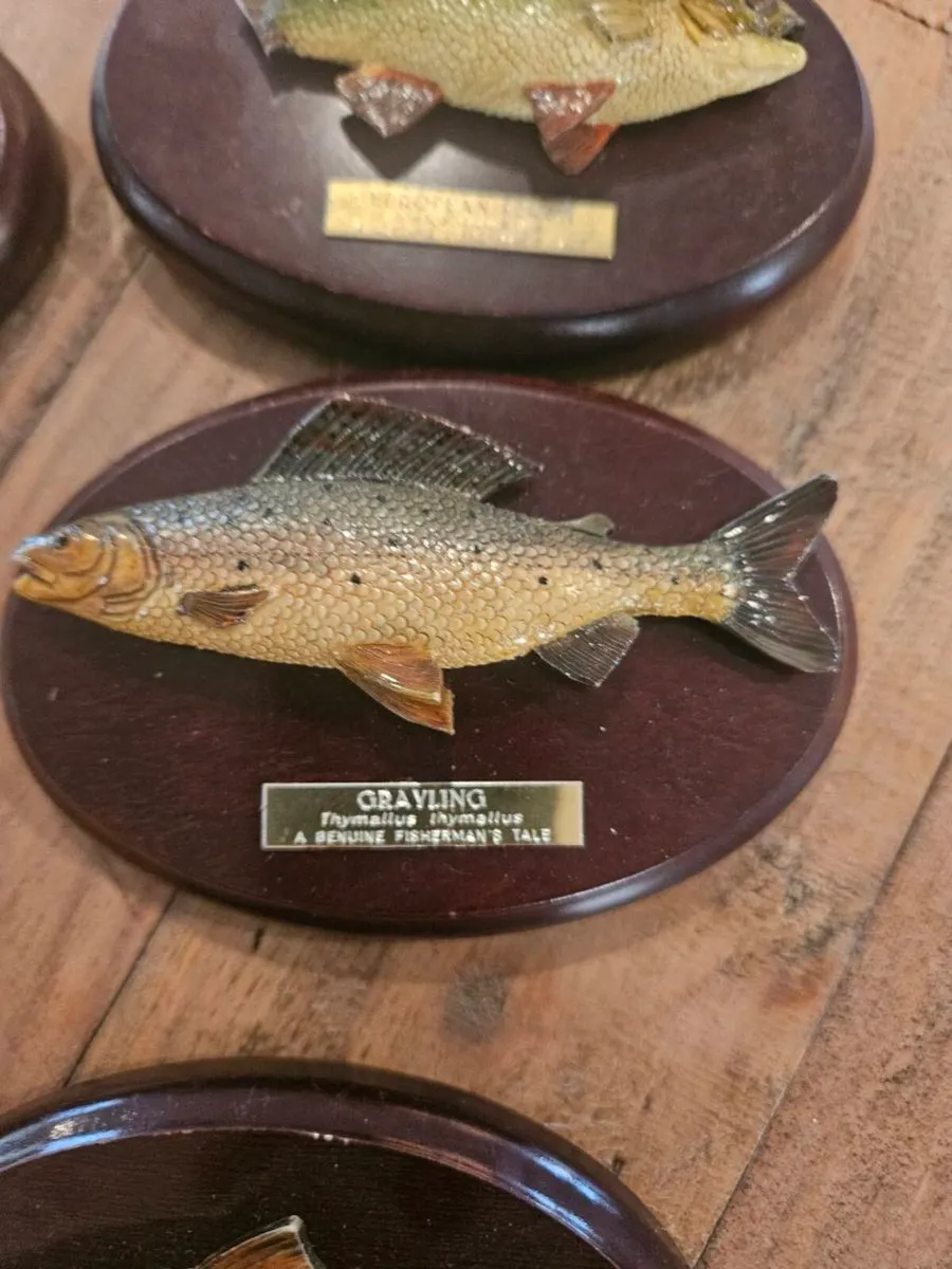 9 fisherman's tale plaques - Image 4