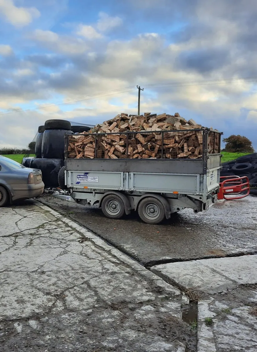 Firewood - Image 2