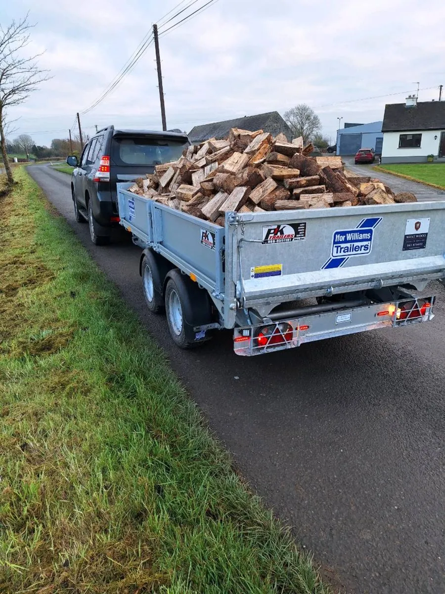 Firewood - Image 2