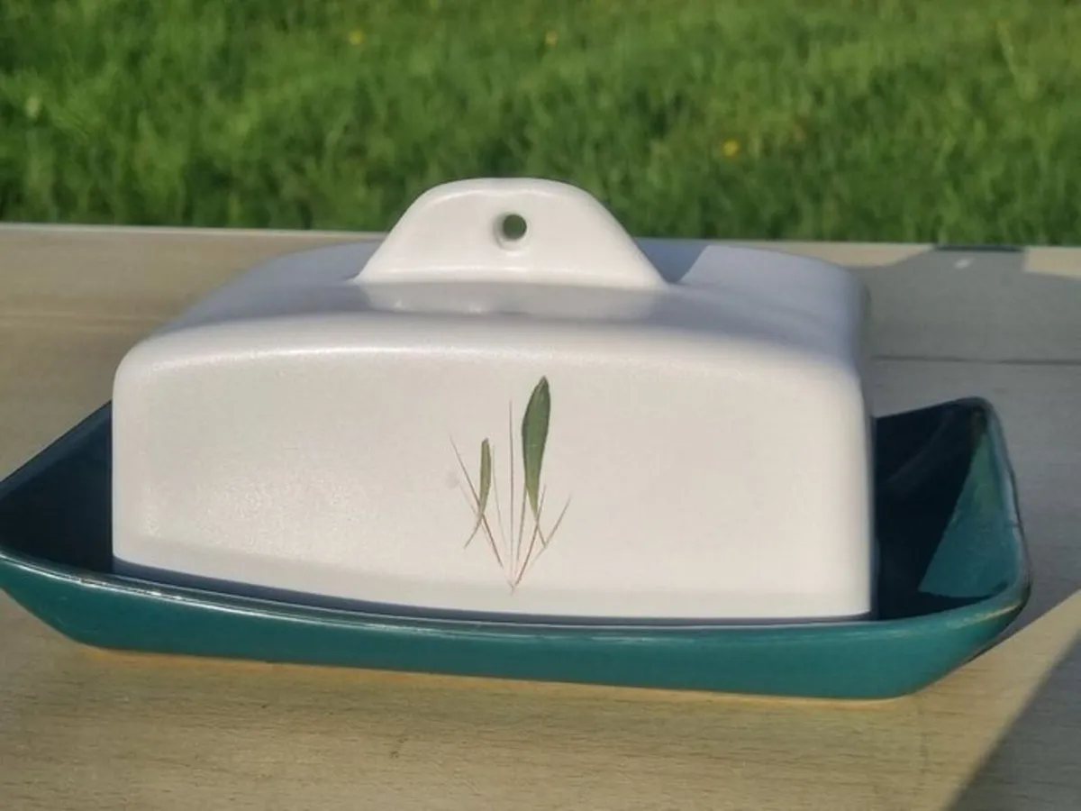 Denby Greenwheat ceramic butter/cheese dish - Image 4