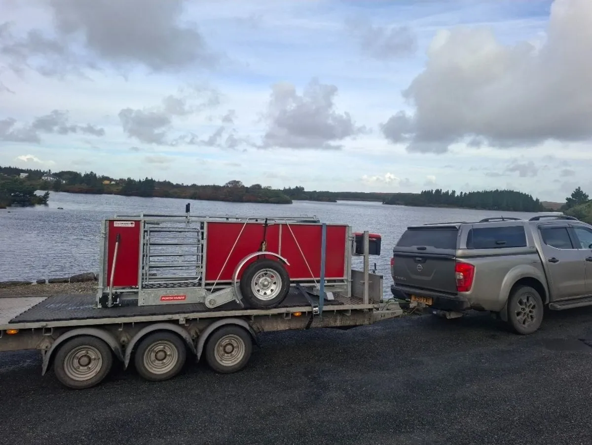 Portayards Ireland - Image 2