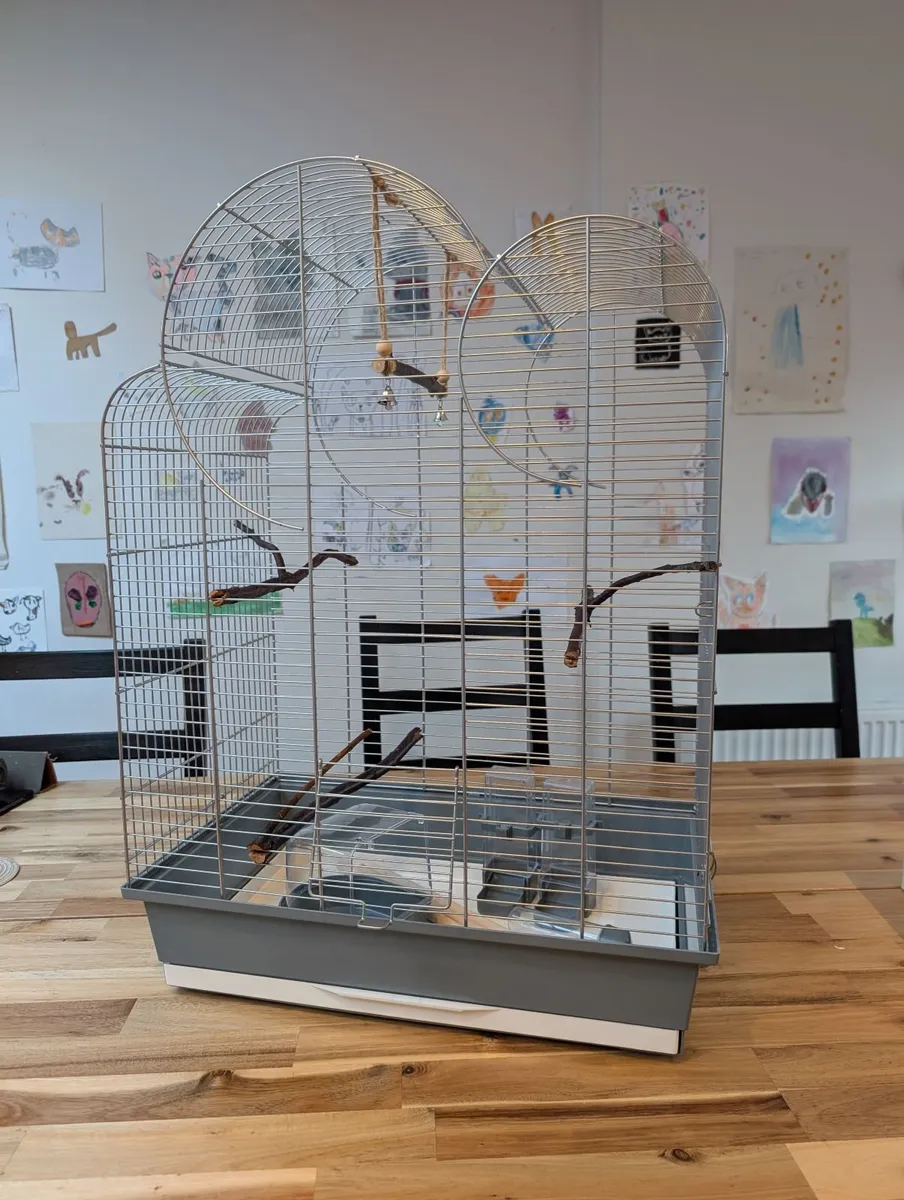 Bird cage - Image 2