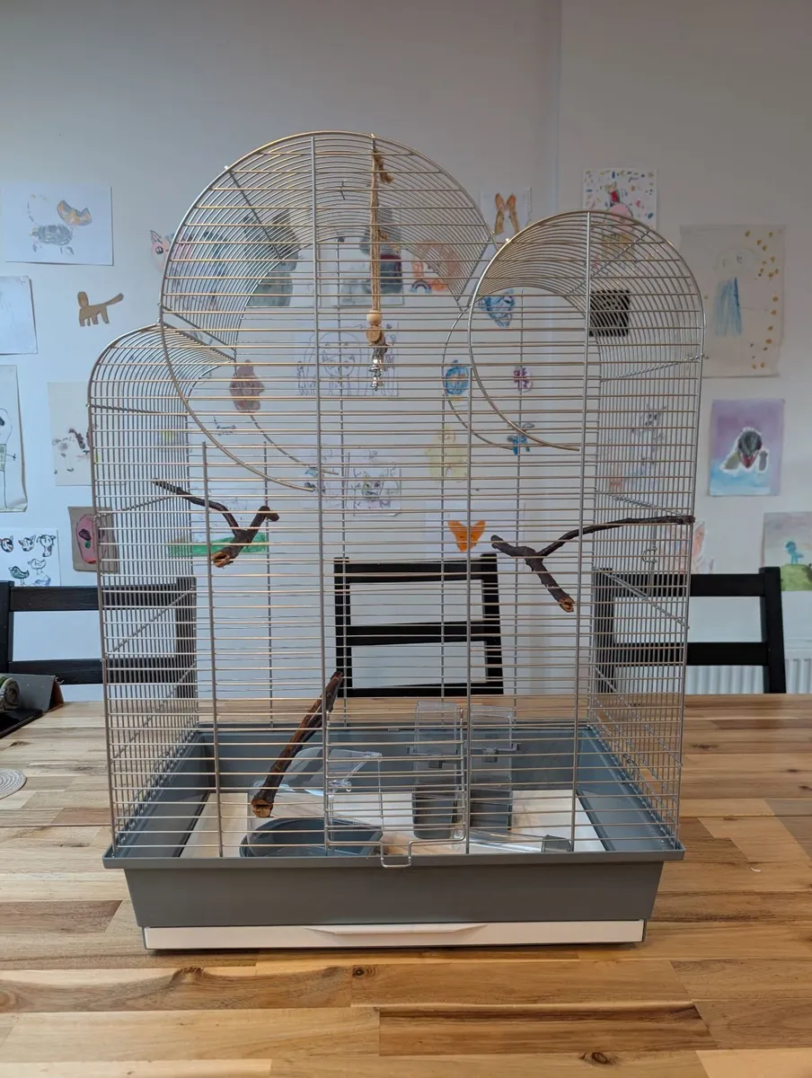 Bird cage - Image 3
