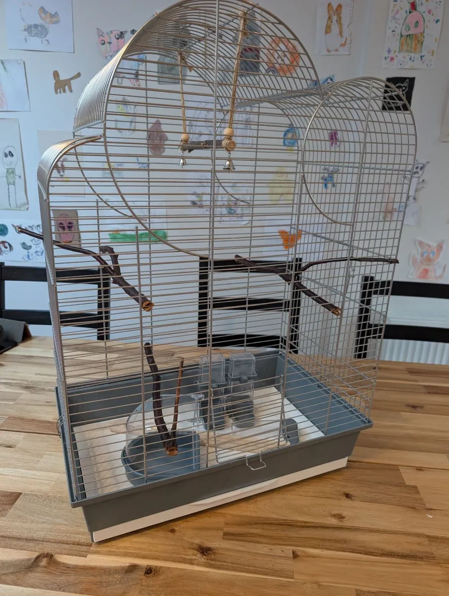 Bird cage - Image 4