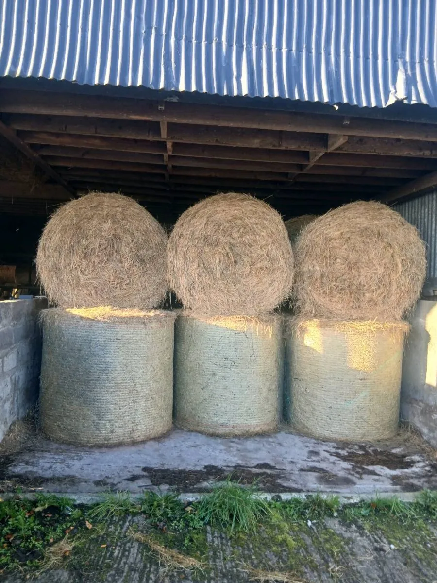 Hay for sale.  Organic - Image 1