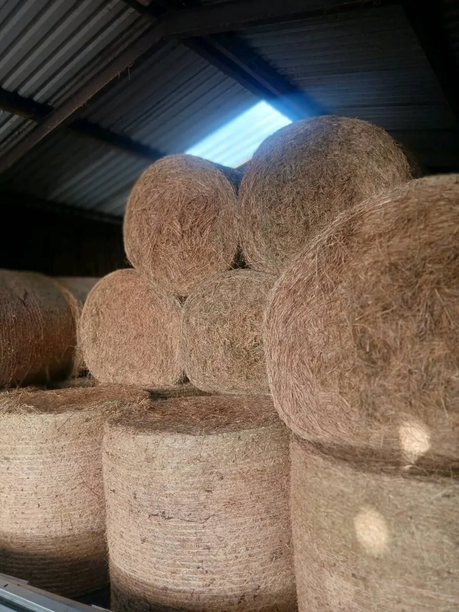Hay for sale.  Organic - Image 3