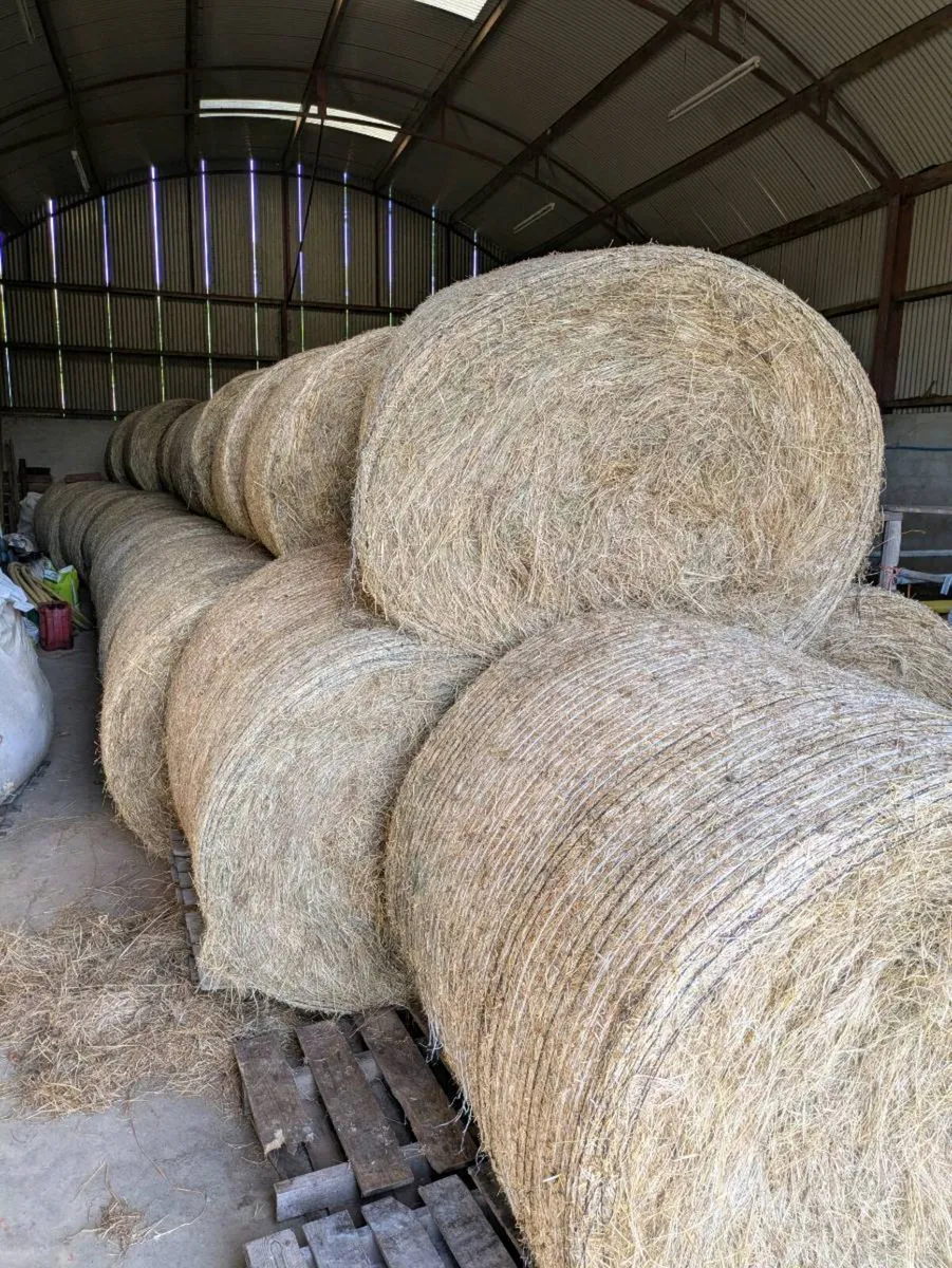 Hay For Sale