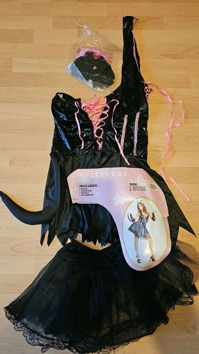 Halloween Costume - Sexy Cat - Image 1