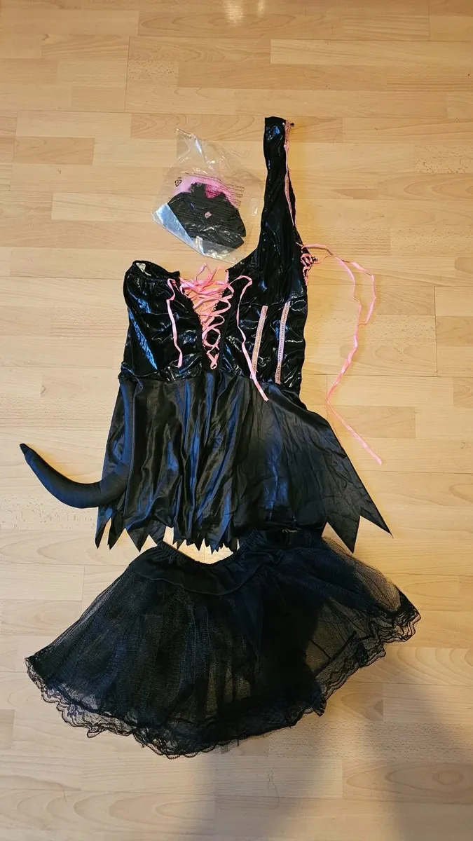 Halloween Costume - Sexy Cat - Image 2