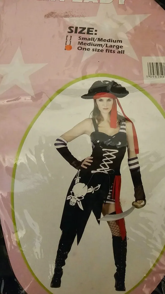 Halloween Costume - Pirate Lady - Image 1