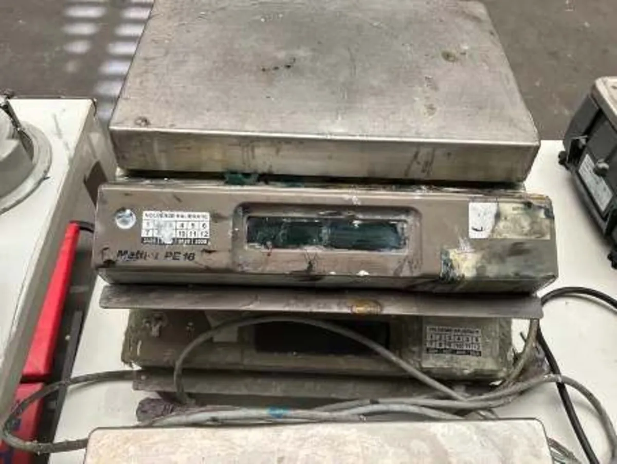 Mettler PE16 Precision Weighing Scale - Image 1