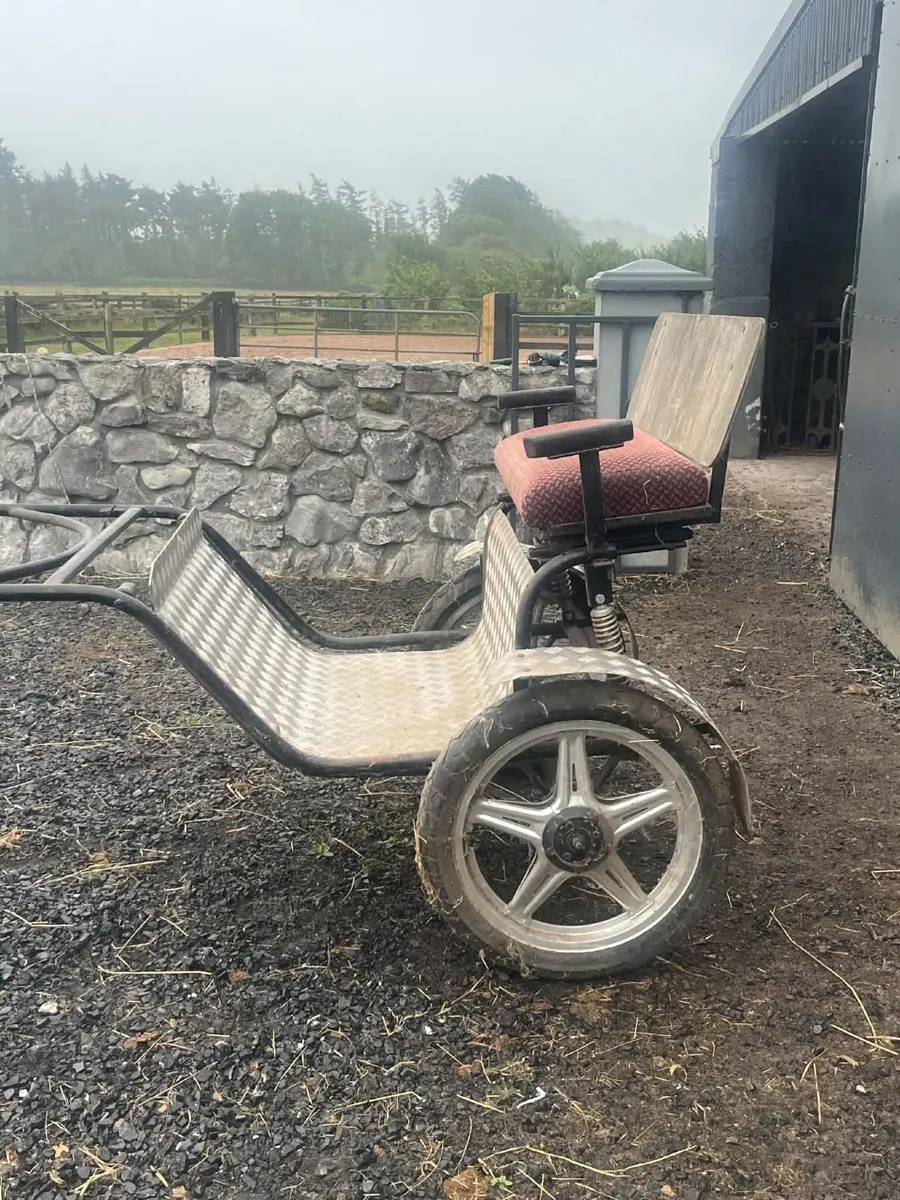 Road cart for a pony - Image 1