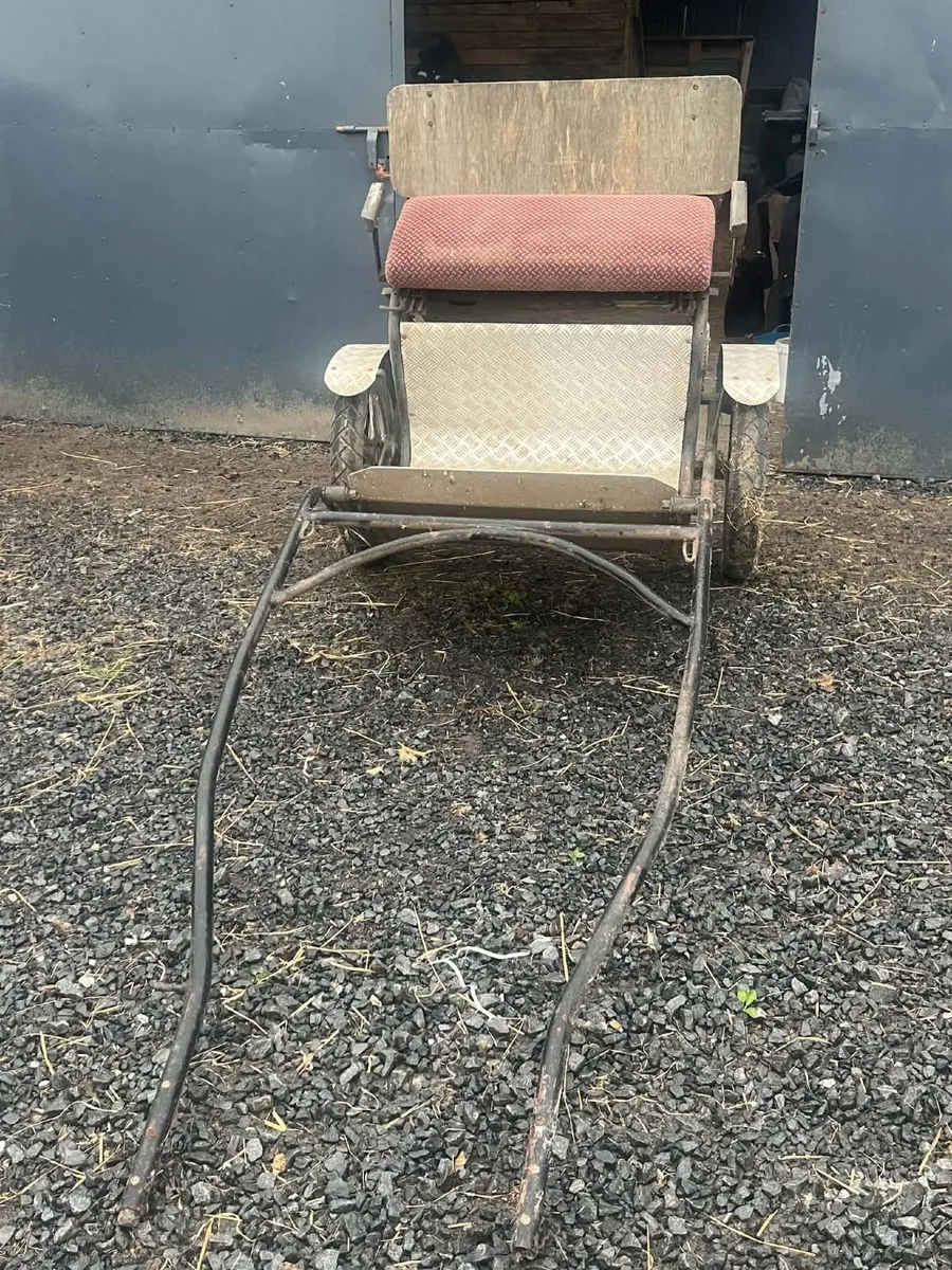 Road cart for a pony - Image 2