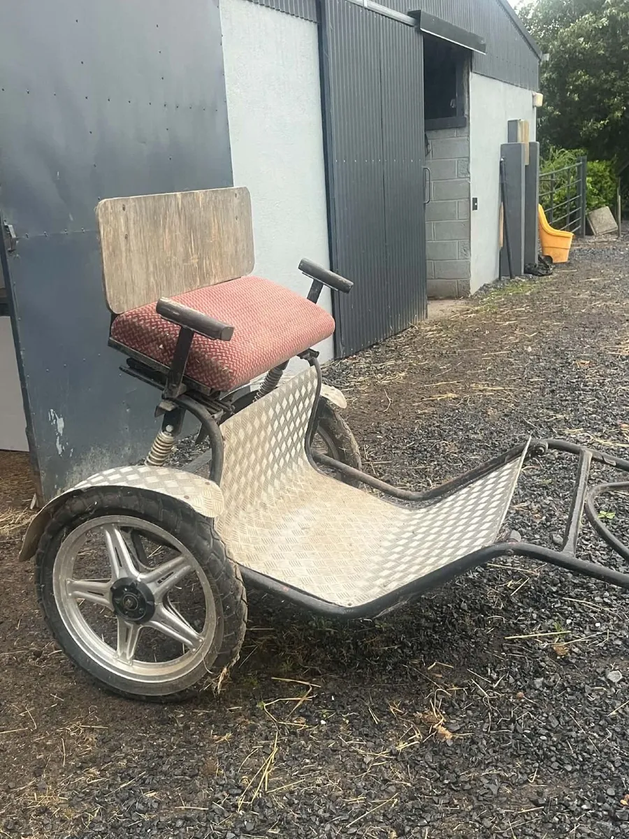 Road cart for a pony - Image 4