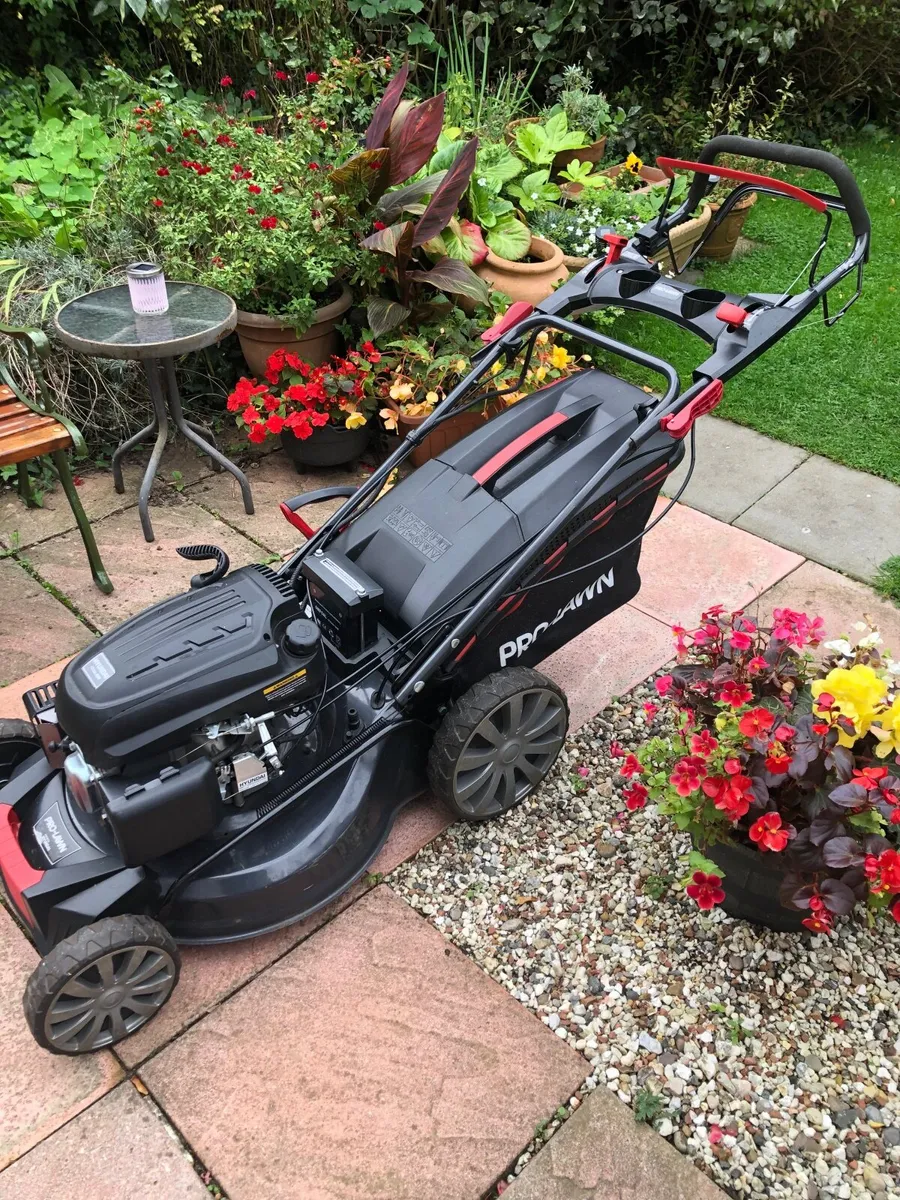 PROLAWN E-START PETROL LAWNMOWER / HYUNDAI ENG. - Image 3
