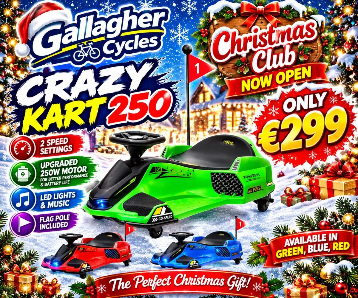 Free Shipping - Crazy Kart 250 - Image 2