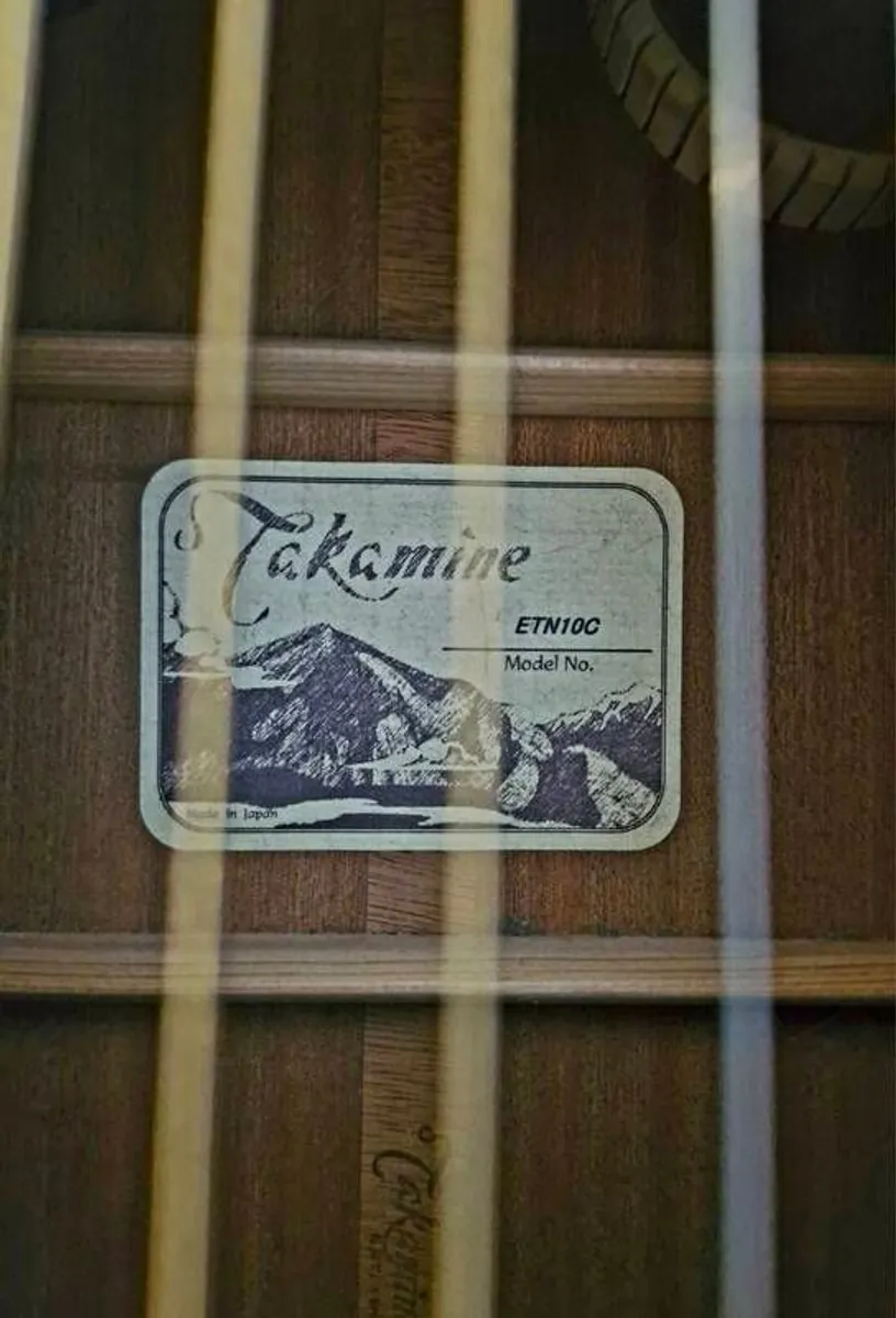 Guitar - Image 4