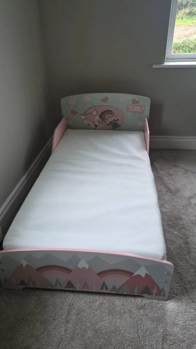 Toddler bed frame & mattress