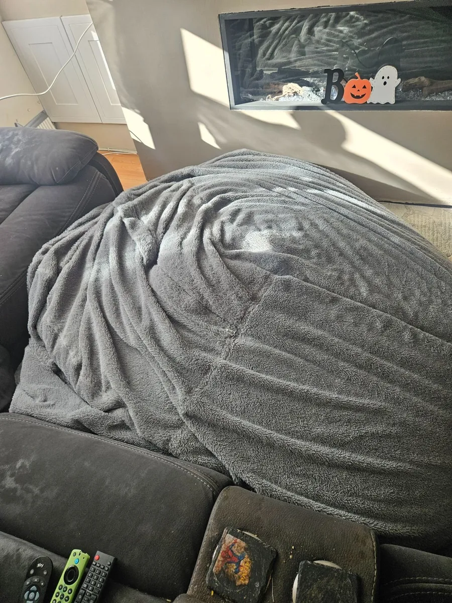 Extra Large bean bag, - Image 2