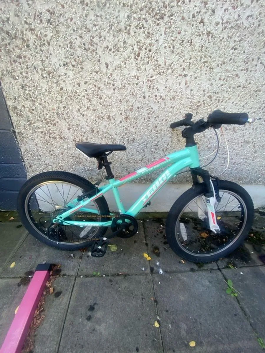bikes