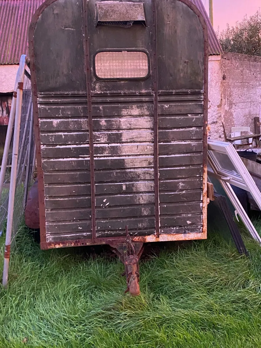 Rice Horse Box - Image 1