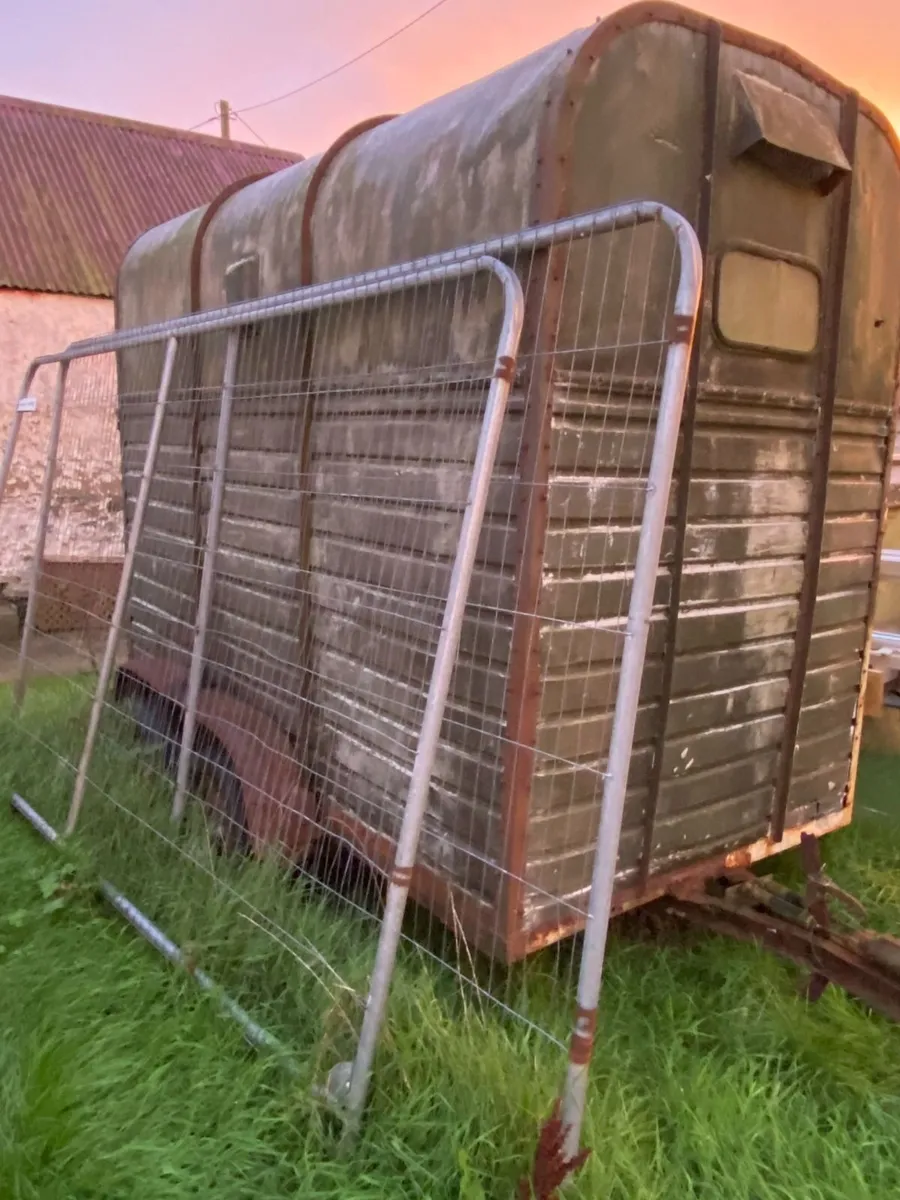 Rice Horse Box - Image 2