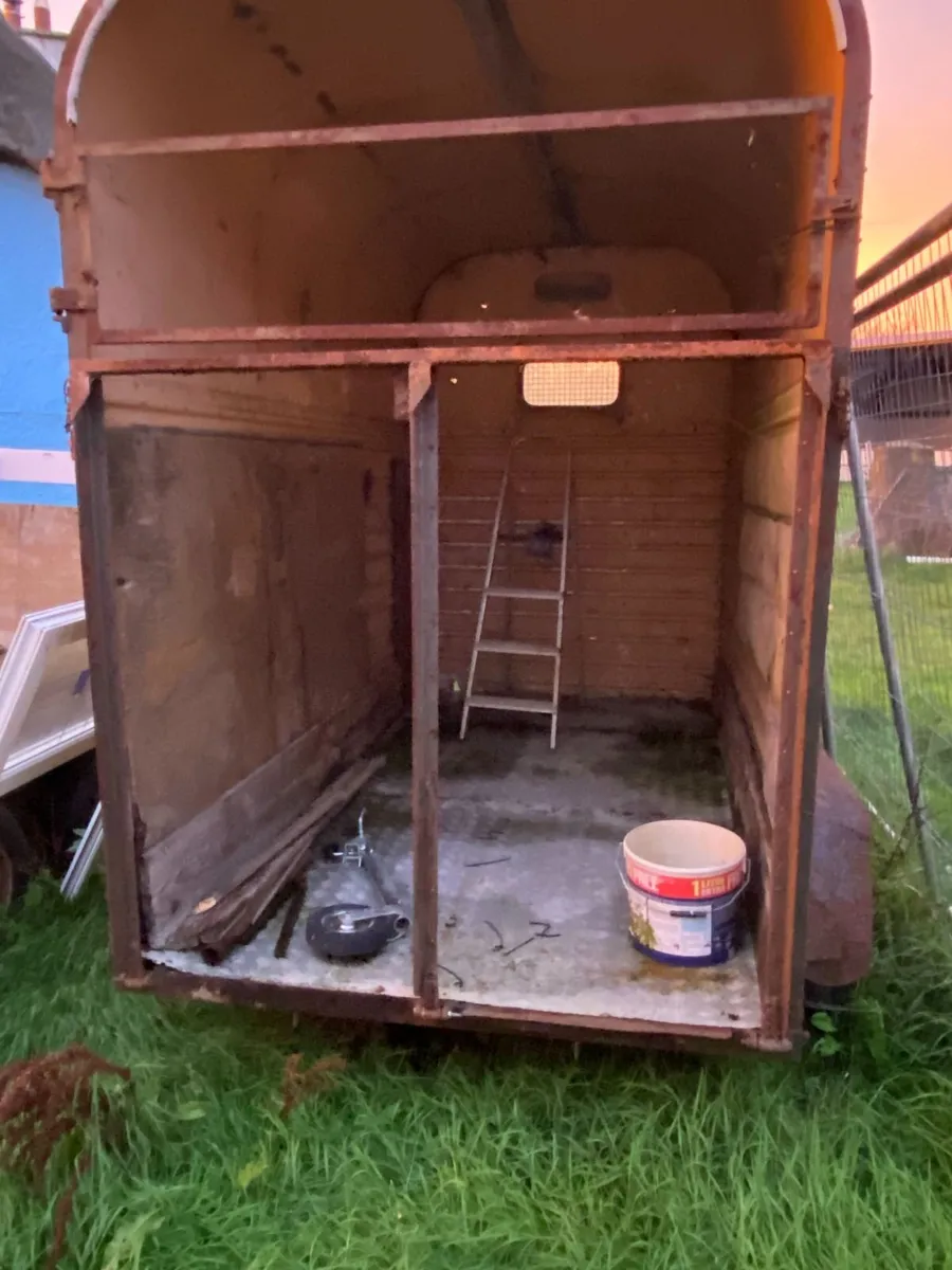 Rice Horse Box - Image 3