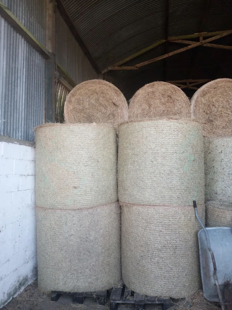 Certified organic Hay
