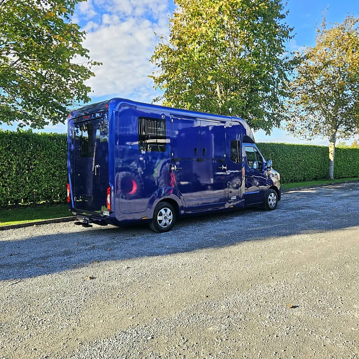 STEPHEX 2 STALL HORSETRUCK - Image 3