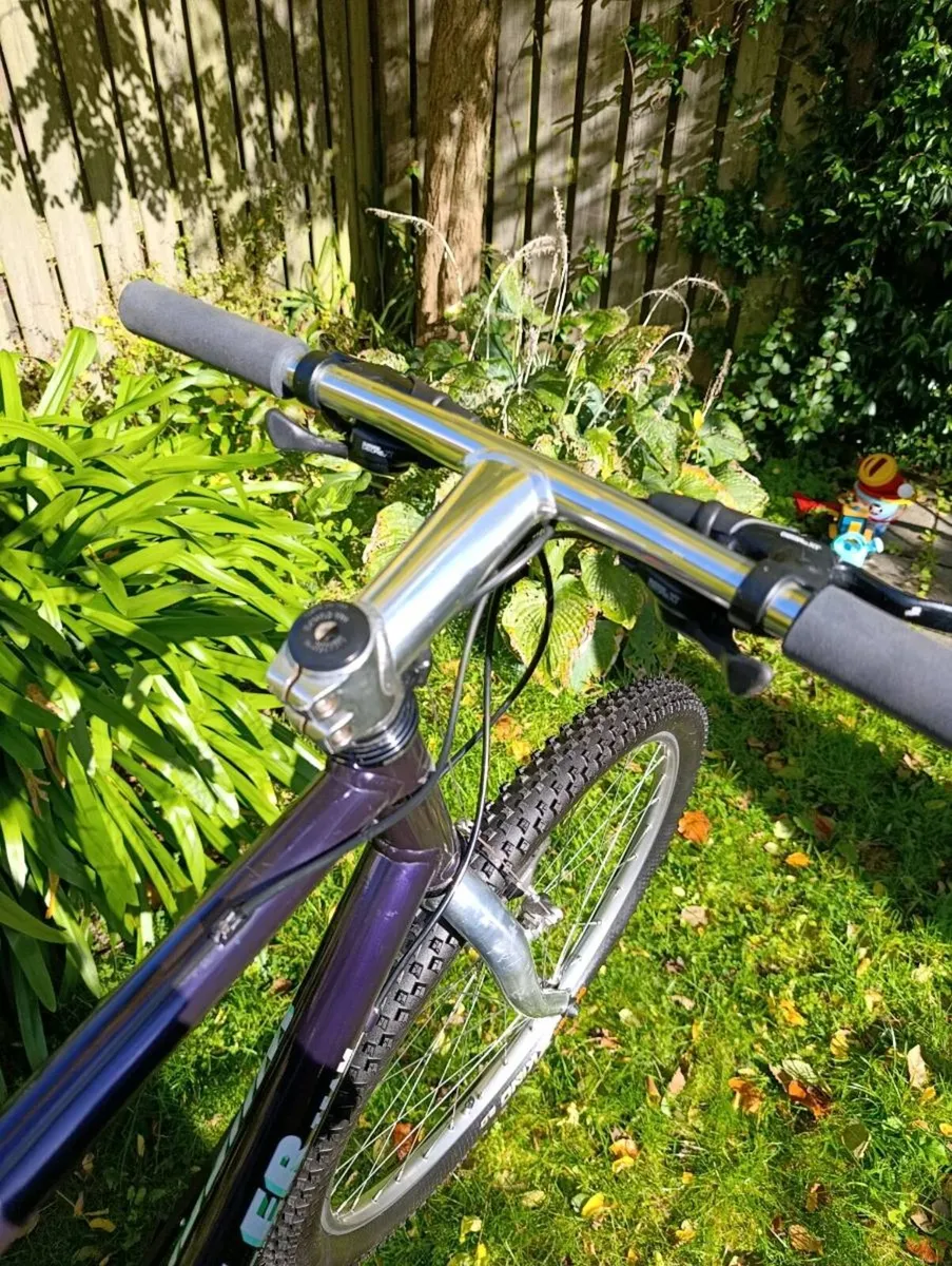 MTB Wheeler Team Easton 9900 - Image 3