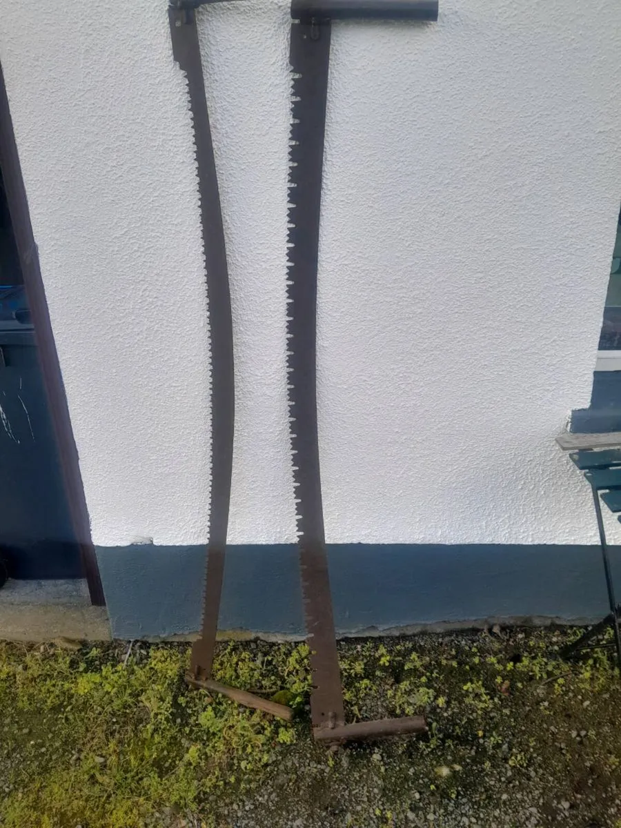 Two vintage Cross cut saws - Image 2