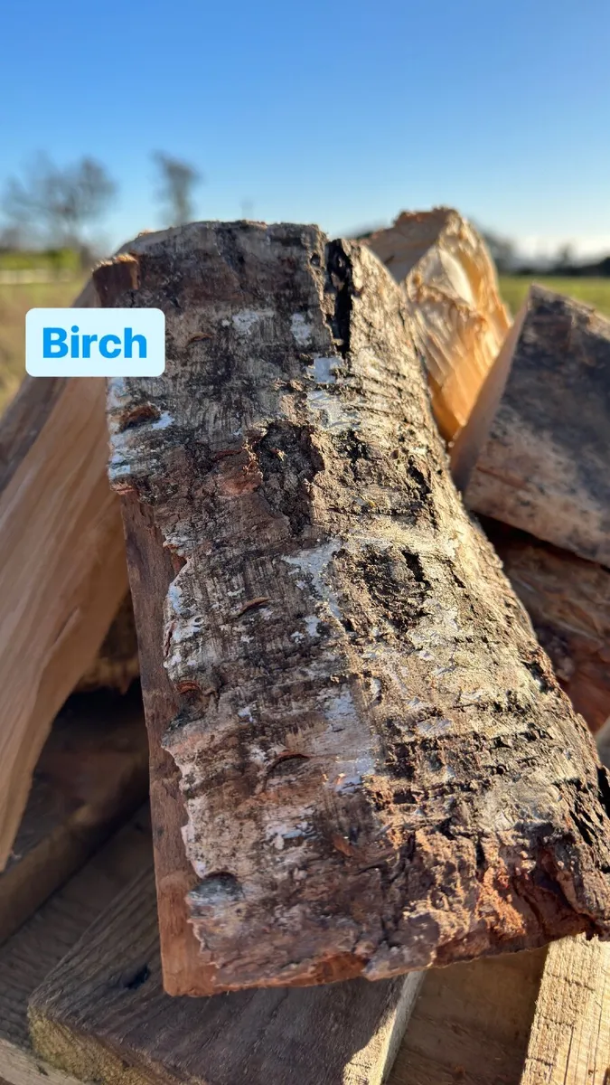 Kiln dried and air dried Firewood - Image 4
