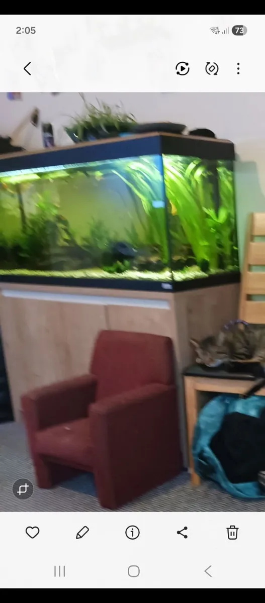 230 litre fish tank - Image 3
